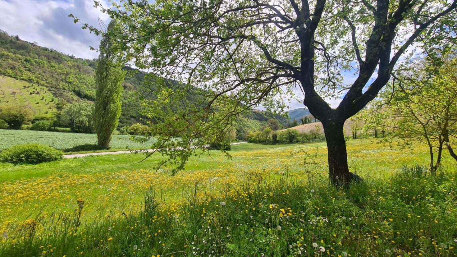 Gasthaus Casa Zia Cianetta Residenza Di Campagna Capodacqua  Exterior foto